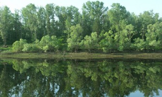 Круиз 2007, 15 июня, день шестой, Самара